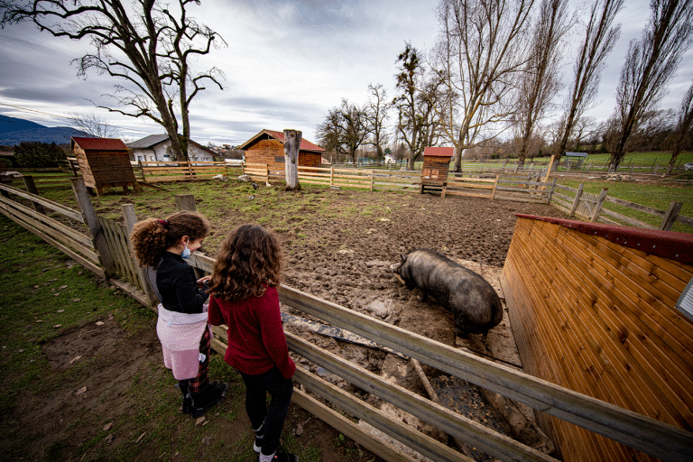 Mini-ferme pédagogique